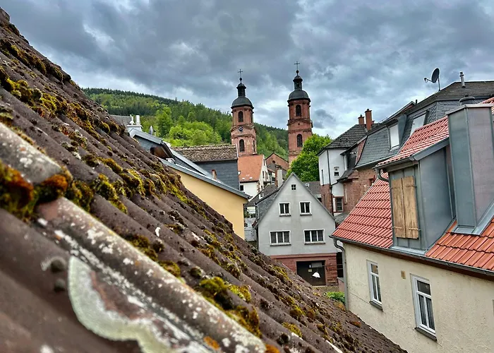 Altes Dichterhaus Von 1859 Apartment