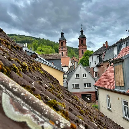 Altes Dichterhaus Von 1859 Appartement